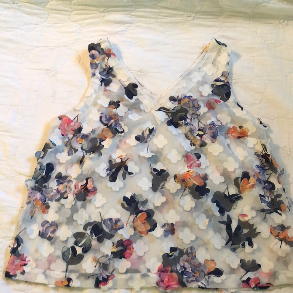 A New Day sheer top with fluttery flowers